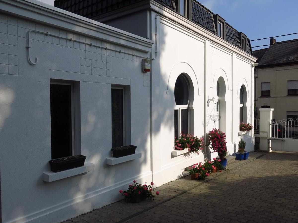 Gite De La Conciergerie Du Cheval Blanc Luttre Ngoại thất bức ảnh